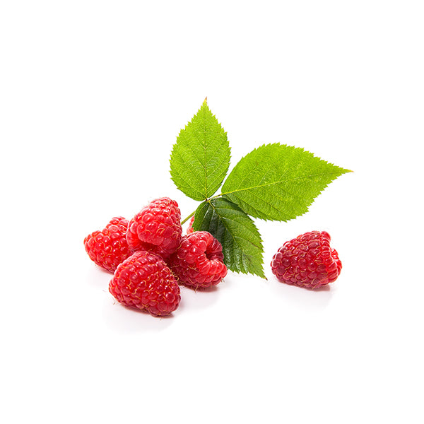Raspberry Lip Balm