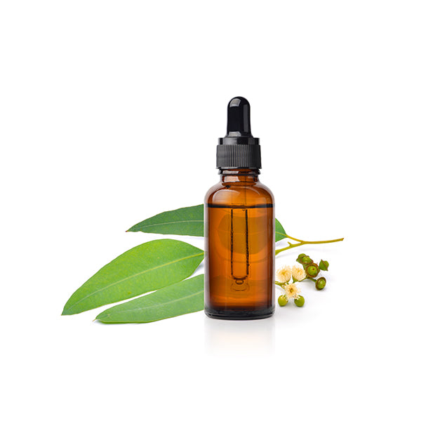 Tea Tree & Charcoal Natural Soap