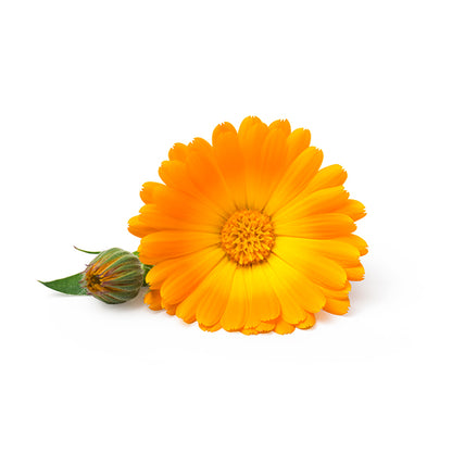 Citrus Lemongrass Natural Soap