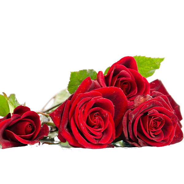 Rose Geranium Natural Soap