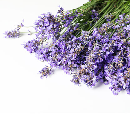 Lavender Body Butter