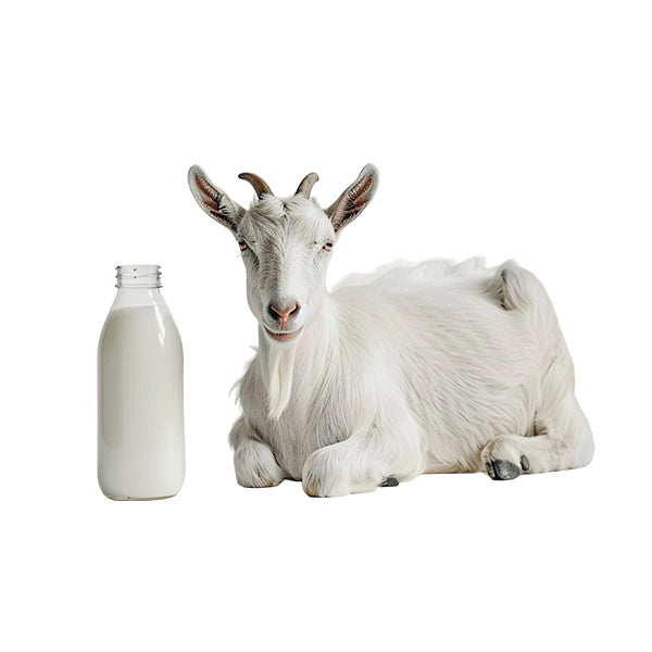 Goat Milk Natural Soap